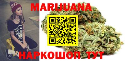 индика Кинель