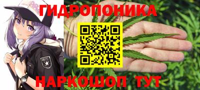 PSILOCYBIN Кимры