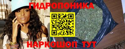 соль ск Кингисепп