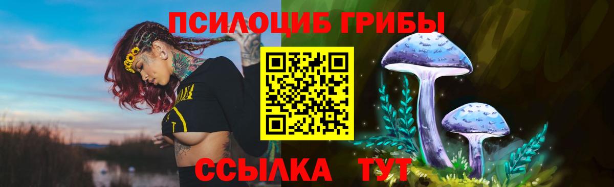 Псилоцибиновые грибы мухоморы  Вход с VPN  Псилоцибиновые грибы Magic Shrooms  Чернушка 
