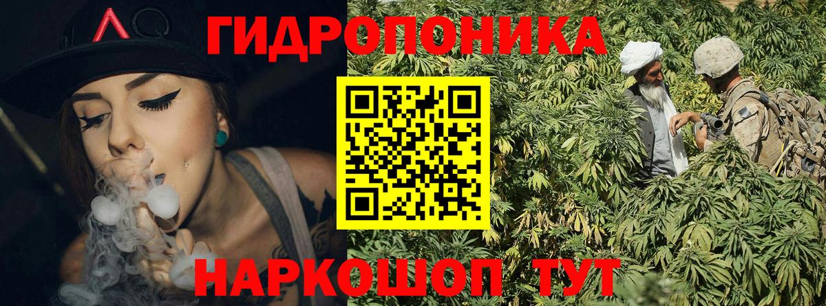 Чернушка  Бошки марихуана White Widow  Вход с VPN  Марихуана Bruce Banner 